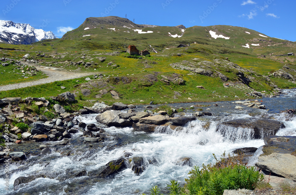 The alpine scenic landscapes of mountains, meadows and flowers at Dondena, Aosta Valley, Italy in the natural reserve of Mount Avic. The alpine scenic landscapes of mountains, meadows and flowers at Dondena, Aosta Valley, Italy in the natural reserve of Mount Avic.