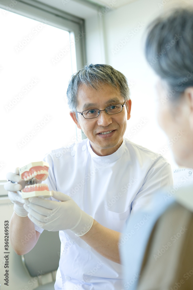 歯型を見せて話す歯科医師 歯型を見せて話す歯科医師