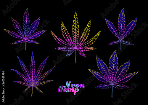 4 grades of cannabis leaf set sativa, indica, hybrid, ruderalis. Clip art, set of elements for design. Vector illustration in neon colors.