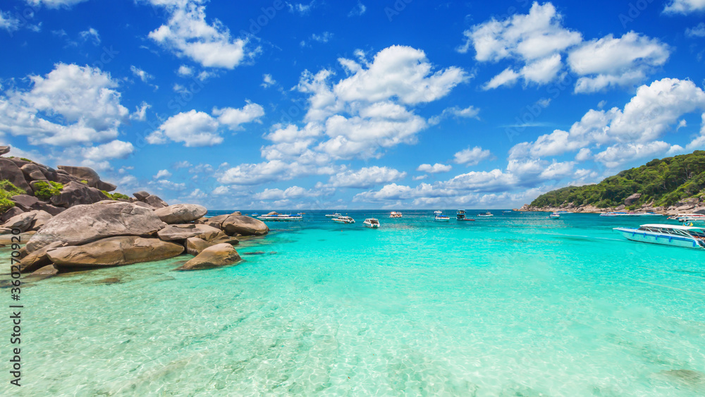 Fototapeta premium Tropical island. View of the amazing green lagoon