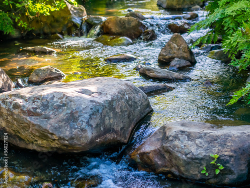 Mountain stream during Spring time