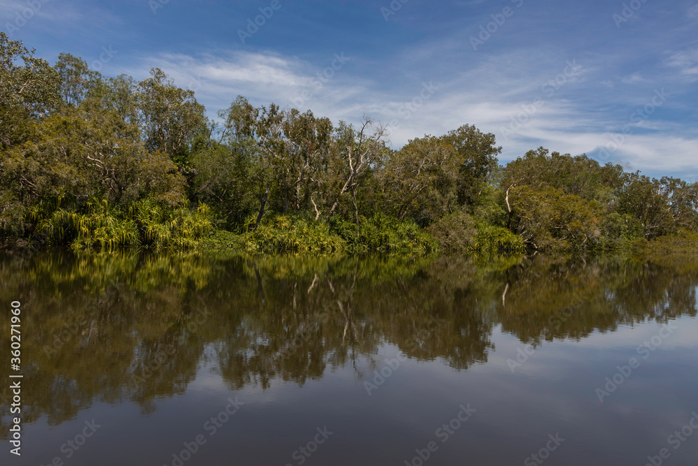 A Typical Landscape in Australia's Northern Territories Wetlands