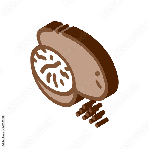 nutmeg nut icon vector. isometric nutmeg nut sign. color isolated symbol illustration