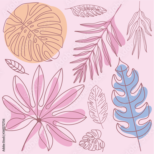 Dessin - Feuilles - Illustrations