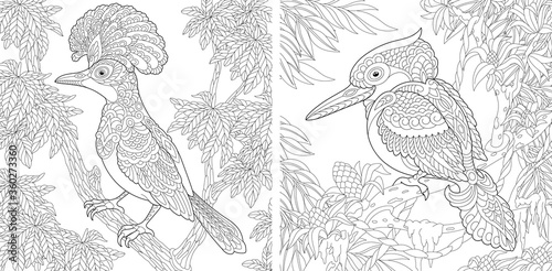 Coloring pages with exotic tropical birds