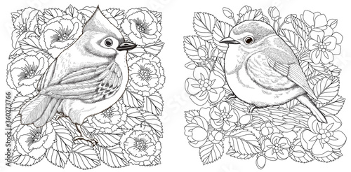 Coloring pages with birds and flowers