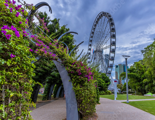 A flower-decorated walkway on the south bank of the Brisbane River, Brisbane, Queensland photo