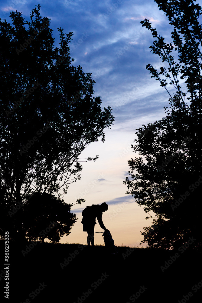 Black silhouette of unrecognizable owner caressing obedient dog on leash while standing on hill top among dark trees with lush foliage against colorful cloudy sky at dusk Black silhouette of unrecognizable owner caressing obedient dog on leash while standing on hill top among dark trees with lush foliage against colorful cloudy sky at dusk
