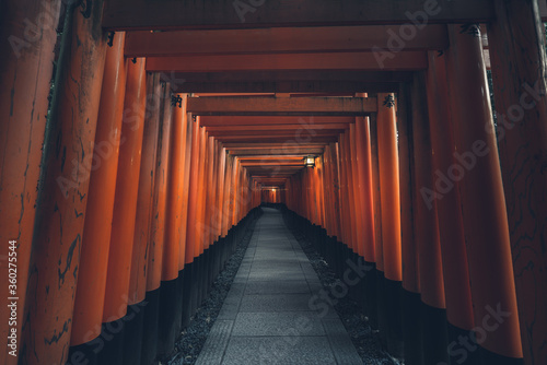 Fushimi Inari Taisha with stone pathway surrounded by red Torii gates and illuminated by traditional lantern