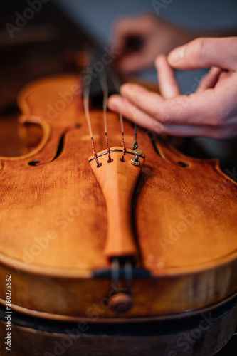 High angle closeup of unrecognizable artisan touching strings and correctly placing while finishing crafting violin in workroom photo