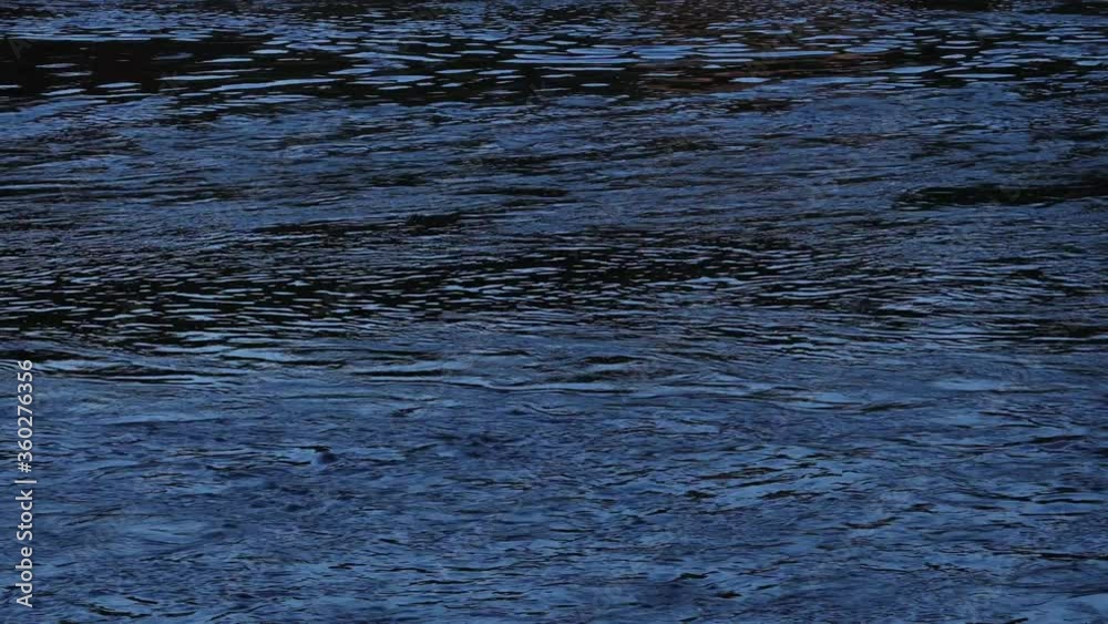 Calm dark river flowing in the evening