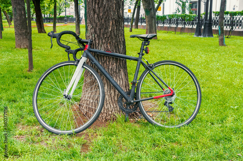 Racing bicycle in a summer park