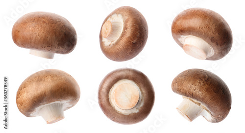 Wallpaper Mural Set with fresh champignon mushrooms on white background Torontodigital.ca