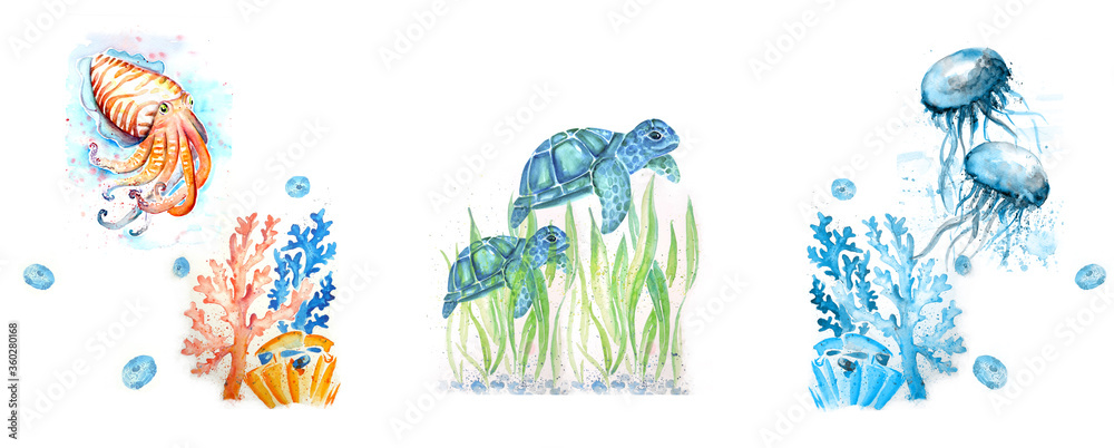 Fototapeta premium Aquarelle painting of sea animal sketch art pattern illustration