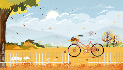 Autumn landscape fram fields with bicycle,Vector late Summer in countryside with wood barn, wild flower and grass fields on hills.Eco Farming agriculture