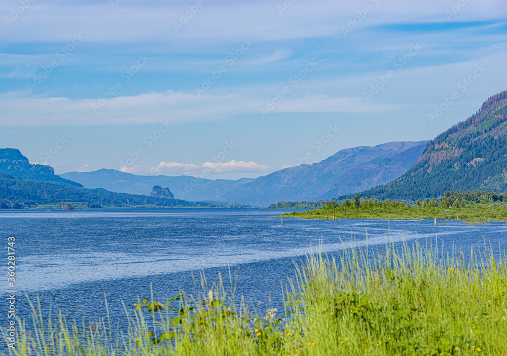 Looking up the Columbia River from Rooster Rock Park 