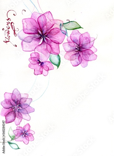 pink flower background Watercolor flowers template frame vignette invitation illustration
