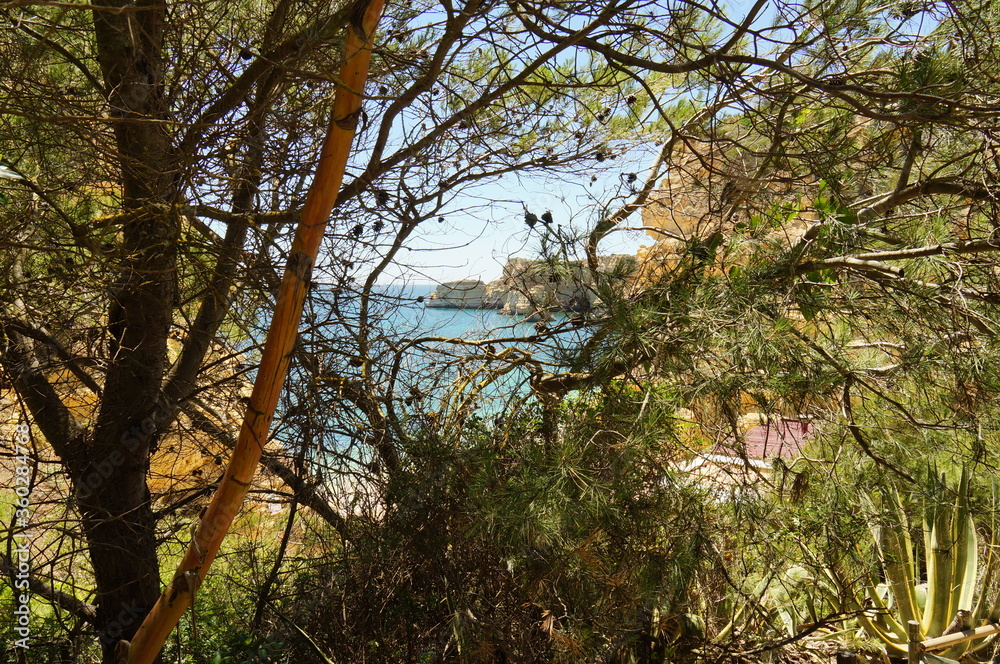 Naklejka premium Secluded beach in the Algarve