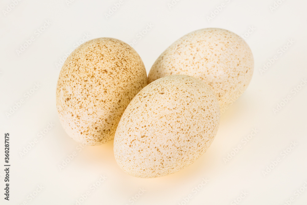 Three big raw turkey egg