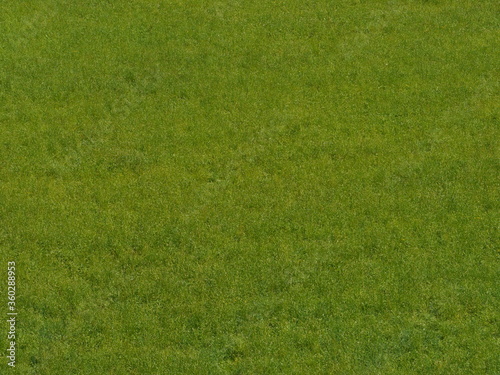 saftige grüne Wiese mit vereinzelt gelben Blumen
