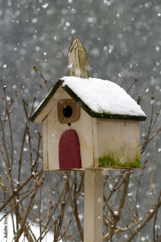 a birdhouse on a post in a garden during a snow storm in Salem Oregon. © Bob