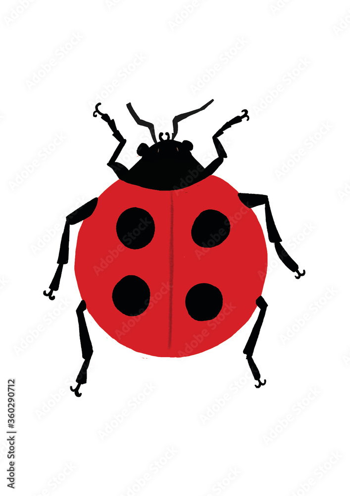 ladybug ladybug