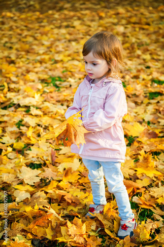 Little girl in the autumn park