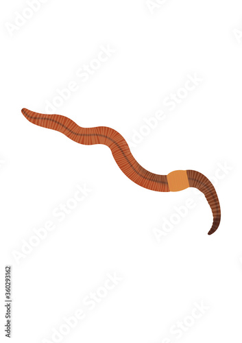 UK worm