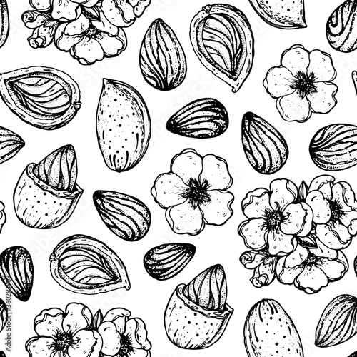 Almond seamless pattern. Almond nuts hand drawn sketch. Nuts vector illustration. Organic healthy food. Great for packaging design. Engraved style. Black and white color.