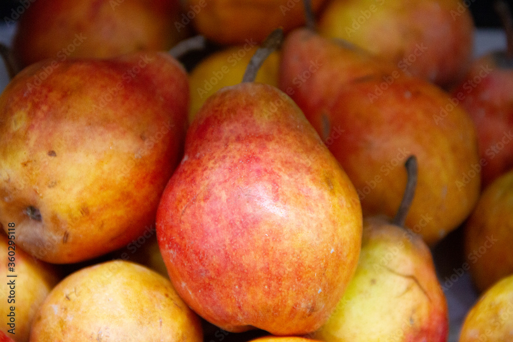 Red and yellow colored pears in the stock Red and yellow colored pears in the stock