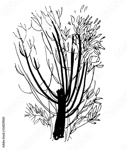 vector illustration of spring flowers sketch