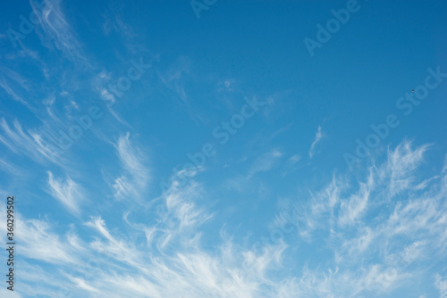 feather clouds in the blue sky 
