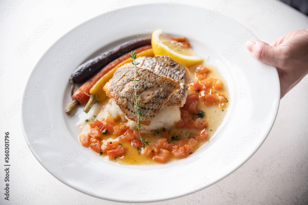 chef serving luxury seabass plate with hand chef serving luxury seabass plate with hand