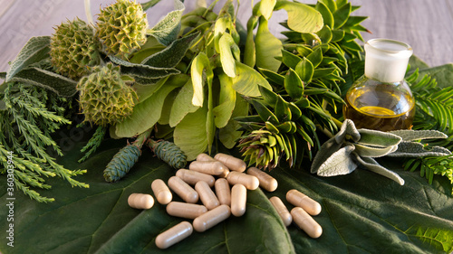 Plant-based preparation for self-healing