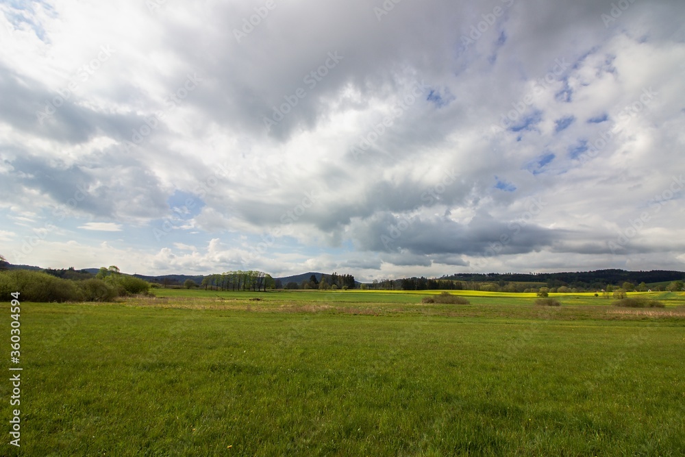 Green meadows of czech countryside