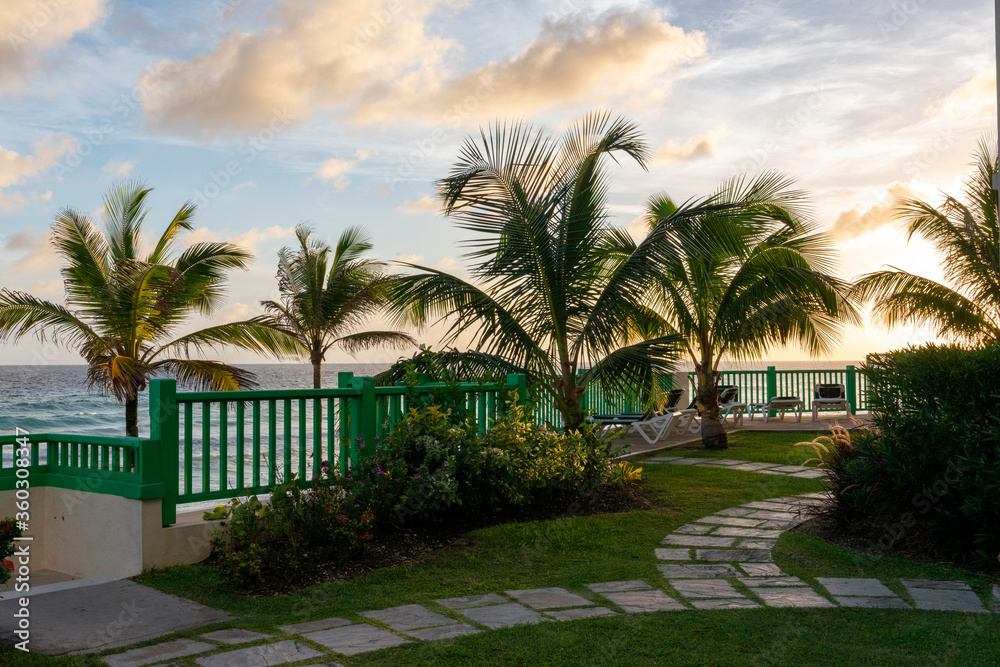Paradise destination,palm tree,tropical,beach