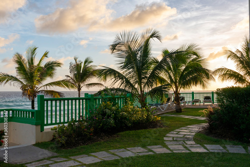 Paradise destination palm tree tropical beach
