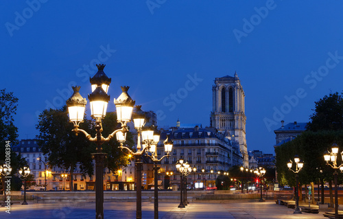 View of the bell towers of Notre-Dame de Paris cathedral and traditional street lamps in the foreground at night.