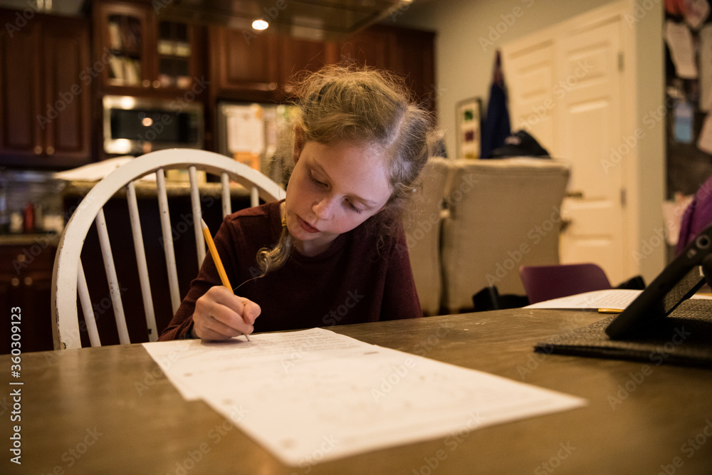 Cute Blonde Girl With French Braids Works on School Papers at Home Cute Blonde Girl With French Braids Works on School Papers at Home