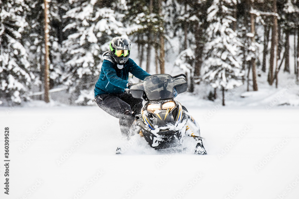 Skilled snowmobiler stands on side, preparing for powder turn. Skilled snowmobiler stands on side, preparing for powder turn.