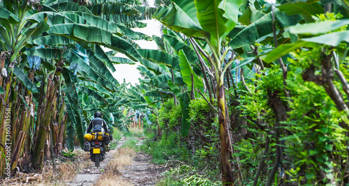 Man riding touring motorbike through banana plantation, Ecuador photo