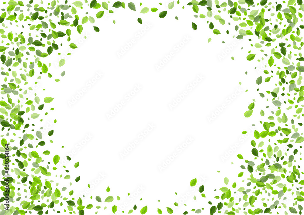 Forest Greens Tree Vector Branch. Ecology Foliage Forest Greens Tree Vector Branch. Ecology Foliage