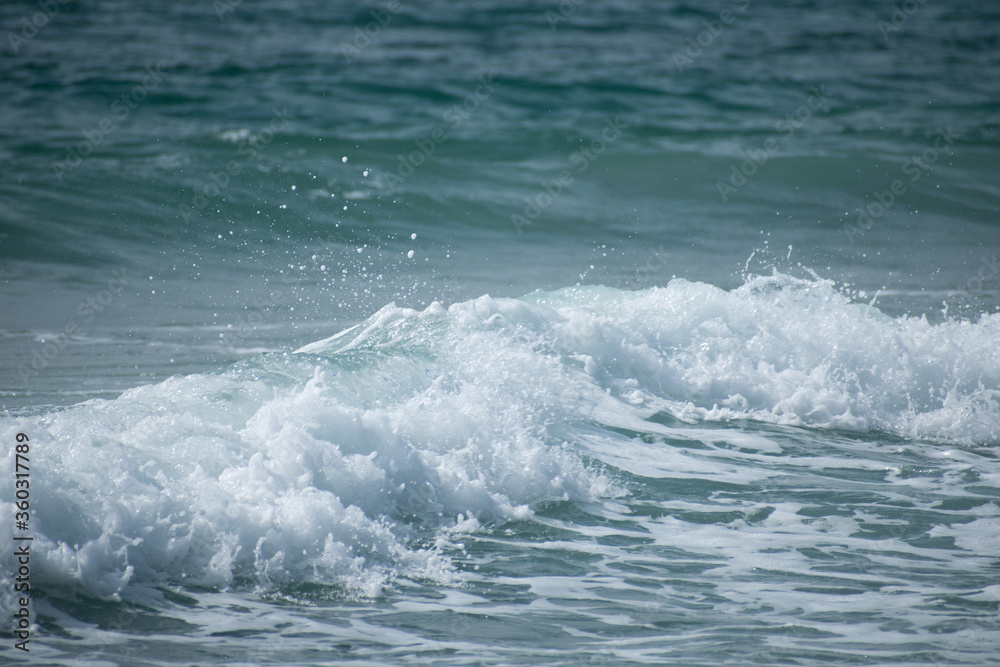 Fototapeta premium Small cresting wave in the Atlantic Ocean on the coast. Blue green ocean waves with sea foam and salt water spray. Beach travel photos.