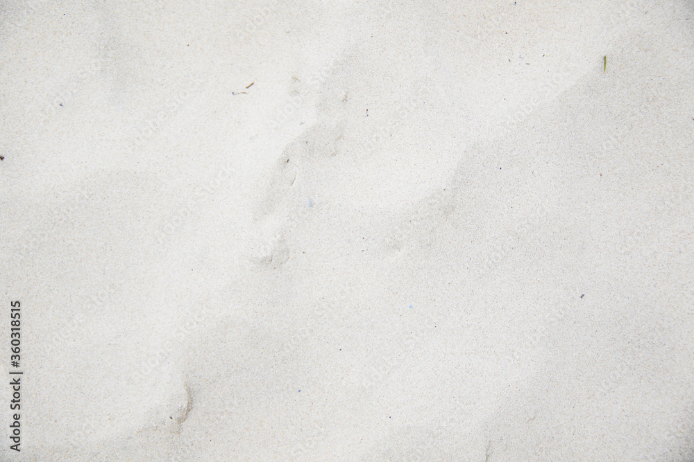 Obraz premium empty sand texture