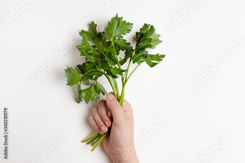 .Sprigs of green parsley in a children's hand on a white salty background.