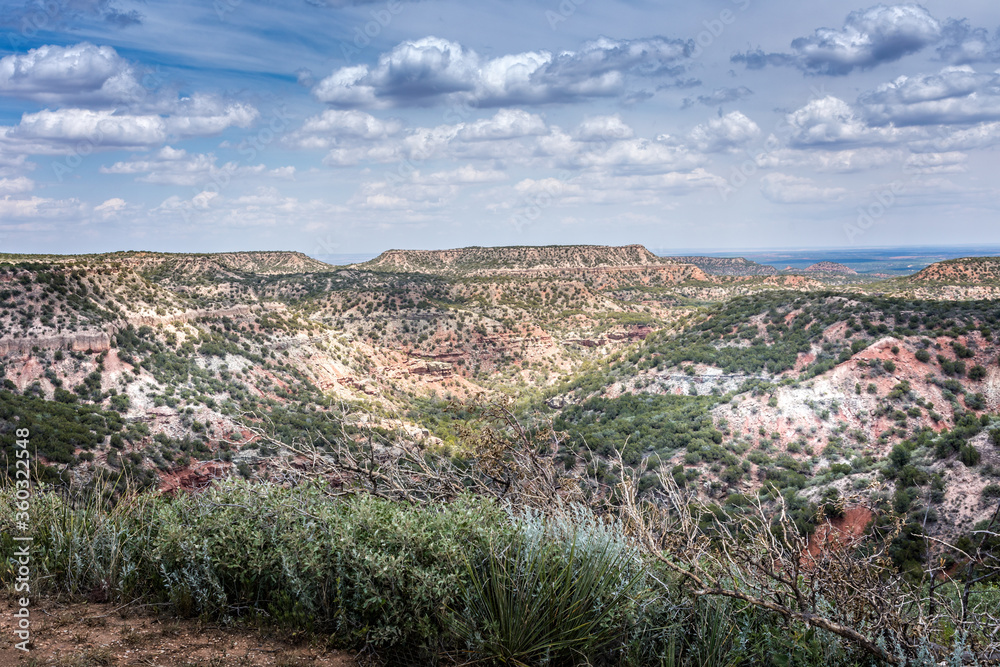 Obraz premium Scenic view over the Palo Duro Canyon, Texas