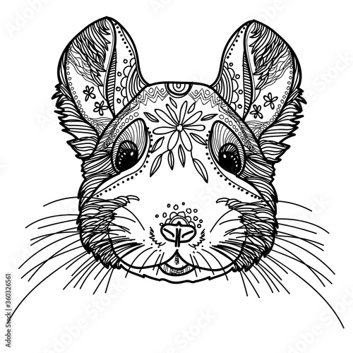 Chinchilla. Doodling coloring, meditative coloring. Patterns, dots, stripes. Cute animals.