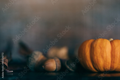 a miniature pumpkin and acorns and fall leaves for a rustic autumn Thanksgiving background with copy space