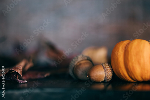 a miniature pumpkin and acorns and fall leaves for a rustic autumn Thanksgiving background with copy space © Ursula Page