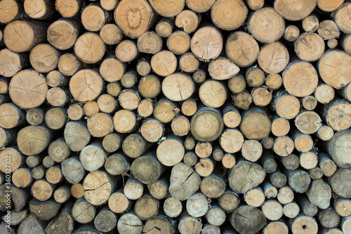 Closeup of Fire Wood Pile